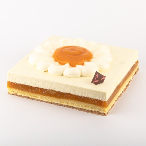 ABRICOTHE | dessert Pâtisserie Lesage Annemasse 74