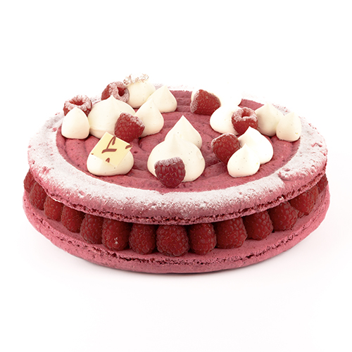 MACARONADE GRAND | dessert Pâtisserie Lesage Annemasse 74