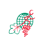 Lesage Chocolatier Annemmasse